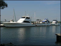 Kingston Marina
