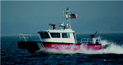 MetalCraft Marine FireStorm 30 with Outboard Engines